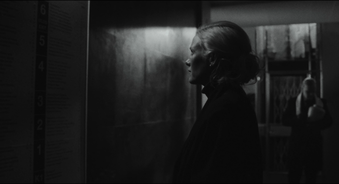 metsä_jossa_elät_-_forest_you_live_in_v2 (2160p).00_02_15_09.Still007