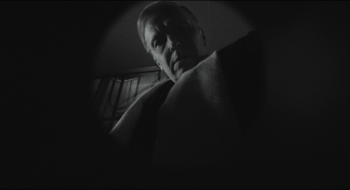 metsä_jossa_elät_-_forest_you_live_in_v2 (2160p).00_02_41_00.Still002