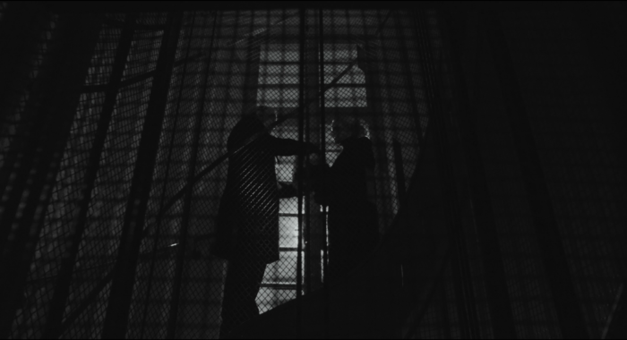 metsä_jossa_elät_-_forest_you_live_in_v2 (2160p).00_03_02_00.Still003