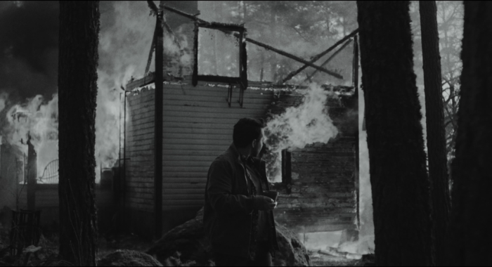 metsä_jossa_elät_-_forest_you_live_in_v2 (2160p).00_08_07_19.Still004