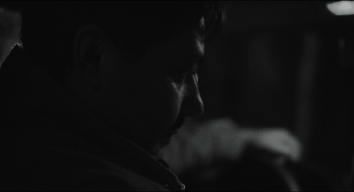 metsä_jossa_elät_-_forest_you_live_in_v2 (2160p).00_08_20_19.Still008