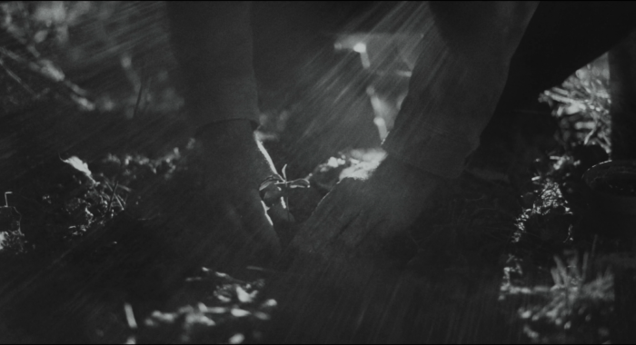 metsä_jossa_elät_-_forest_you_live_in_v2 (2160p).00_09_23_03.Still005